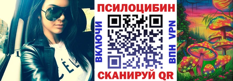 Псилоцибиновые грибы Psilocybine cubensis  Сланцы 