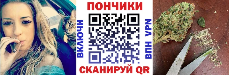 где можно купить наркотик  Сланцы  Шишки марихуана сатива 
